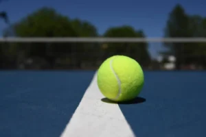 2ccffb2600874c1ab9c04bf1e9ab715c.webp