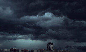 d7ca555a88ed4355bc3e8f59695f1a12.jpg